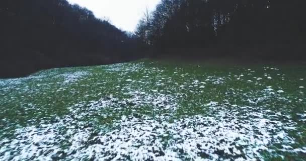 Hóval Borított Glade Festői Kilátás Tavaszi Erdő Között — Stock videók