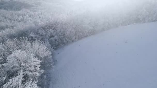 冰雪覆盖的山林在冬日的美景 — 图库视频影像