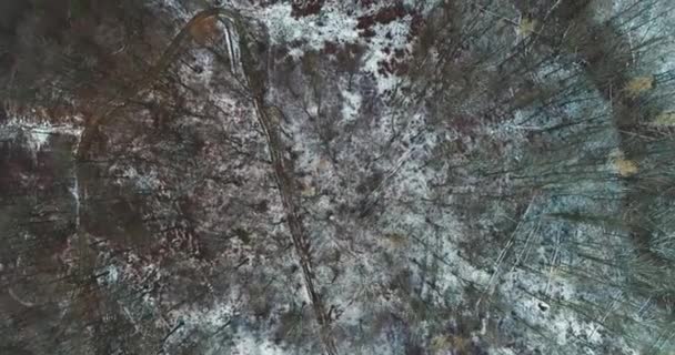 Vista Aerea Della Foresta Innevata Durante Giornata Invernale — Video Stock