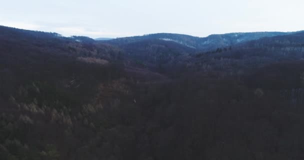 Pintoresca Vista Del Bosque Hayas Ladera Montaña Madrugada Invierno — Vídeos de Stock