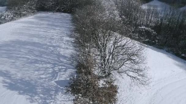 Pittoresk Utsikt Över Snö Täckte Skog Bergen Vinterdag — Stockvideo