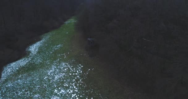 Vista Pitoresca Clareira Coberta Neve Entre Floresta Primavera — Vídeo de Stock