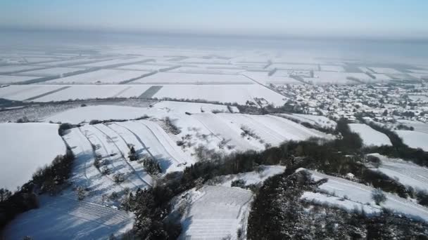 清晨白雪覆盖的田野和城市鸟瞰图 — 图库视频影像