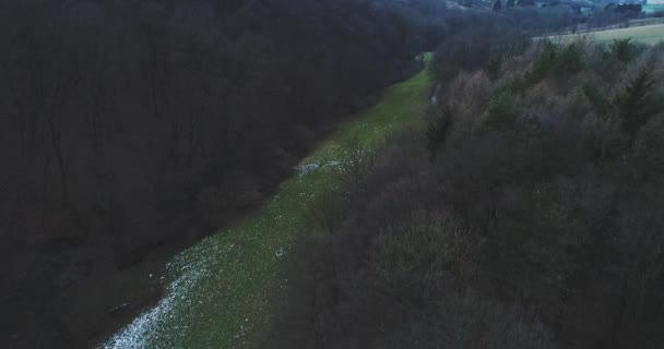 Malebný Pohled Zasněžené Glade Mezi Jarním Lesem — Stock video