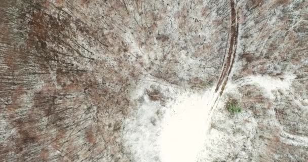 Letecký Pohled Sněhu Les Zimní Den — Stock video