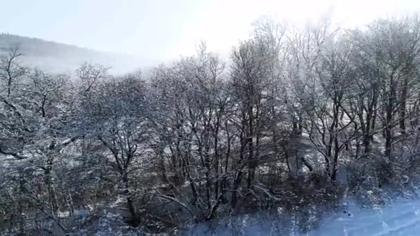 Picturesque View Snow Covered Forest Mountains Winter Day — Stock Video