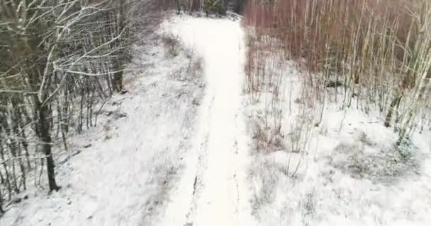 Luchtfoto Van Sneeuw Bedekt Bos Bij Winterdag — Stockvideo