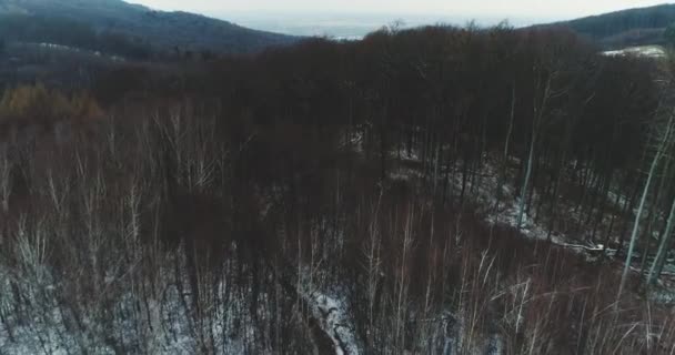 Vista Aérea Floresta Coberta Neve Dia Inverno — Vídeo de Stock