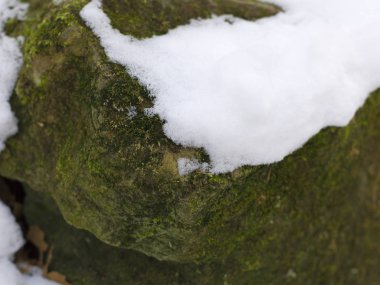 gri beyaz kar ile kaplı taş yakın çekim 