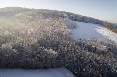 kar hava görünümünü orman güneşli kış gününde kaplı.