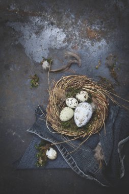 Yuva ve koyu arka plan, tatil kavramı üzerinde yumurta Paskalya dekorasyon  