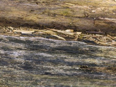 Kahverengi ahşap dokulu doğrama şablonu