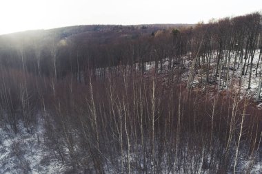 havadan görünümü kar kış gününde orman kaplı