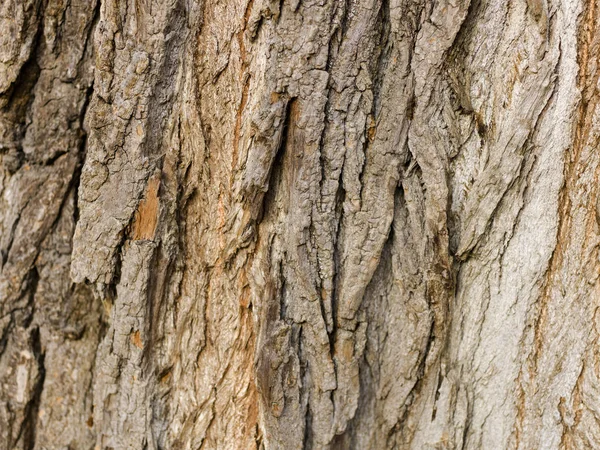 Zbliżenie Strzał Drewna Tła Stolarskiego — Zdjęcie stockowe