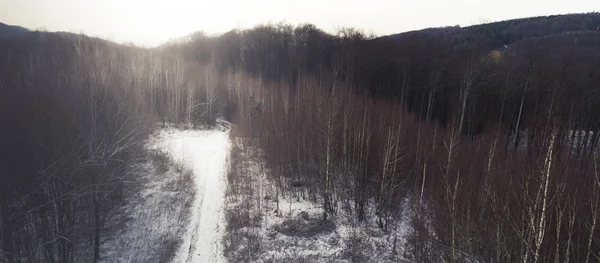 aerial view of snow covered forest at winter day