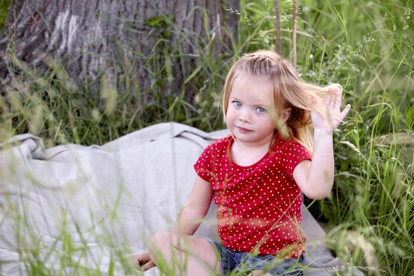 Hübsche Kleine Blonde Mädchen Sitzt Auf Decke Auf Der Wiese — Stockfoto