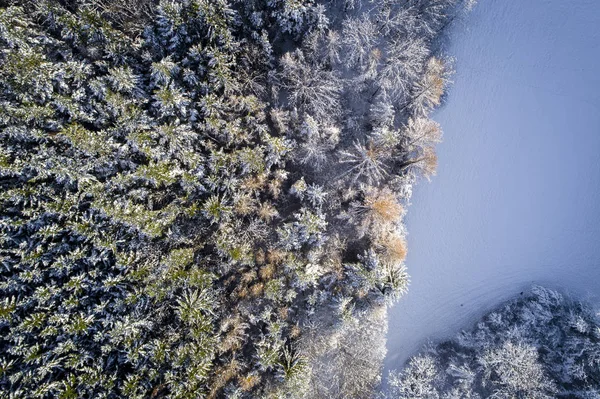 Воздушный Вид Заснеженных Лесов Солнечный Зимний День — стоковое фото