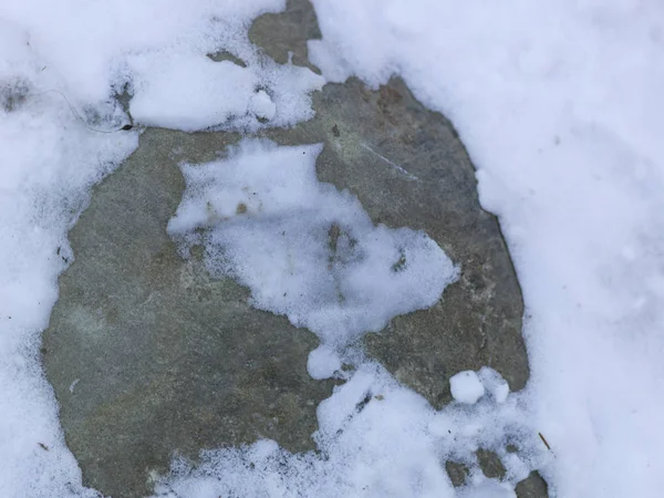 Graue Felsen Bedeckt Von Weißem Schnee Nahaufnahme — Stockfoto