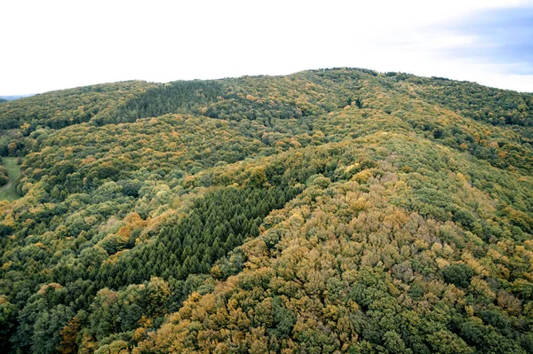 Malerischer Blick Auf Helle Üppige Wälder Den Bergen Herbsttag — Stockfoto
