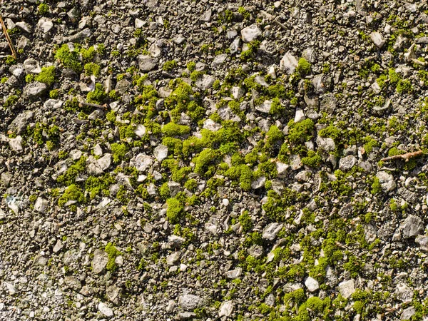 Staré Zvětralé Stonewall Texturu Detail — Stock fotografie