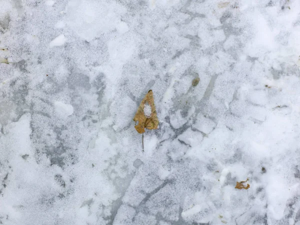 Schneebedecktes Eis Nahaufnahme — Stockfoto