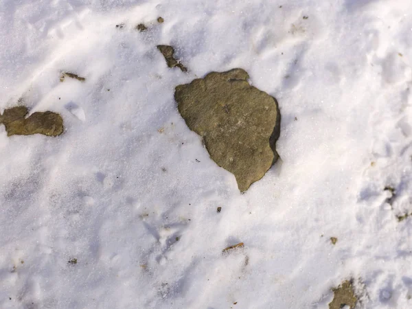 Gri Beyaz Kar Ile Kaplı Taş Yakın Çekim — Stok fotoğraf