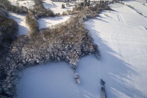 Vista Aérea Floresta Coberta Neve Dia Ensolarado Inverno — Fotografia de Stock