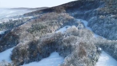 ısmarlayarak kar orman dağlarında kış gününde kaplı.