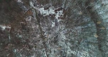 havadan görünümü kar kış gününde orman kaplı