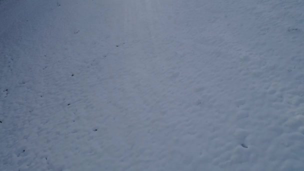 Χιόνι Σκεπαστό Λευκό Βουνοπλαγιά Ηλιόλουστο Χειμωνιάτικο Πρωί — Αρχείο Βίντεο