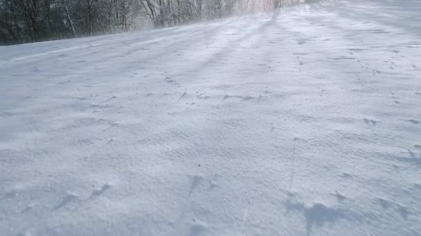 阳光明媚的冬日早晨 白雪覆盖的白色山坡 — 图库视频影像