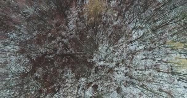 冬季冰雪覆盖森林鸟瞰图 — 图库视频影像