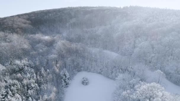 Pintoresca Vista Del Bosque Cubierto Nieve Las Montañas Día Invierno — Vídeos de Stock