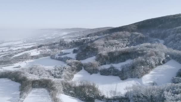Vista Pitoresca Floresta Coberta Neve Nas Montanhas Dia Inverno — Vídeo de Stock
