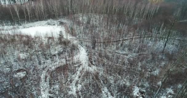 Flygfoto Över Snö Täckte Skog Vinterdag — Stockvideo