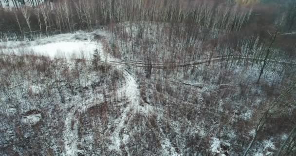 雪の空撮は 冬の日に森を覆われています — ストック動画