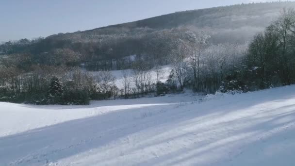 Pittoresk Utsikt Över Snö Täckte Skog Bergen Vinterdag — Stockvideo