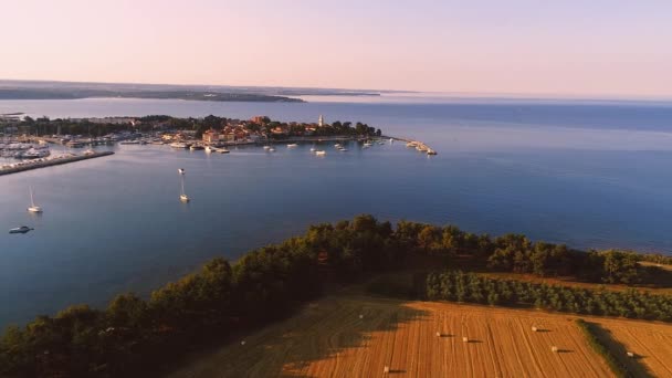 Luftaufnahme Eines Feldes Mit Heuhaufen Der Nähe Des Yachthafens Novigrad — Stockvideo