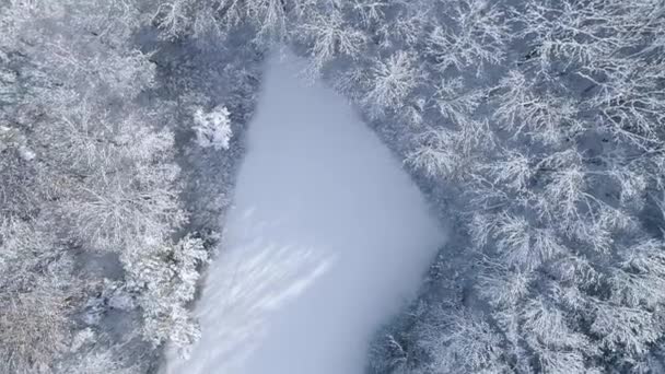 Живописный Вид Заснеженных Лесов Горах Зимний День — стоковое видео