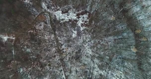 Vista Aerea Della Foresta Innevata Durante Giornata Invernale — Video Stock