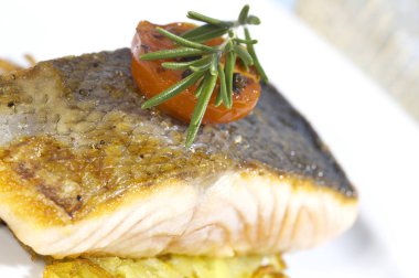 plaka kavrulmuş somon ve biberiye üstte domates ile 