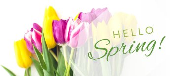 Güzel buket pembe ve sarı laleler metin Merhaba Bahar ile tebrik kartı 