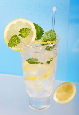 kokteyl nane yaprağı ve limon dilimleri cam, yakın çekim  