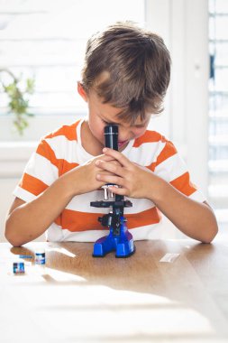 küçük çocuk bilimsel deney yaparken mikroskop arıyor 