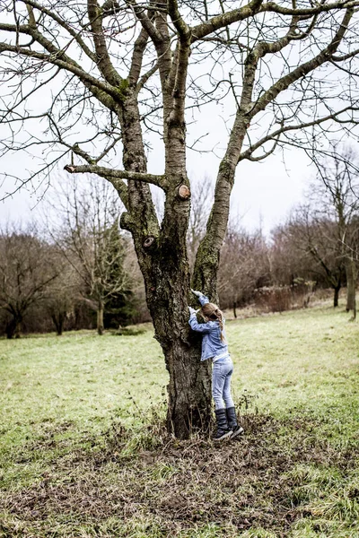 Niña Hermosa Trepando Árbol Parque Primavera —  Fotos de Stock