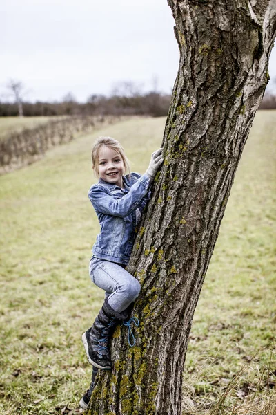 Niña Hermosa Trepando Árbol Parque Primavera —  Fotos de Stock