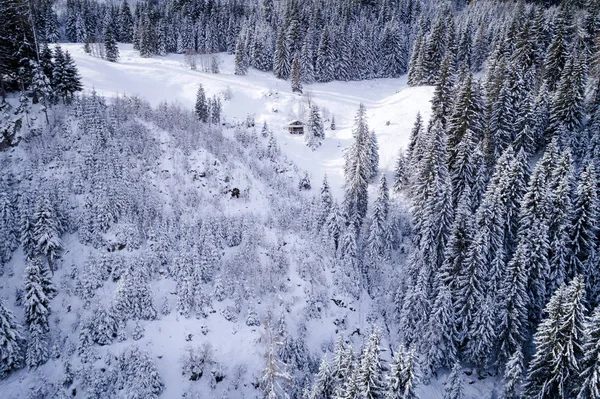 Αεροφωτογραφία Του Χιονιού Που Καλύπτει Δάσος Ηλιόλουστη Χειμωνιάτικη Μέρα — Φωτογραφία Αρχείου