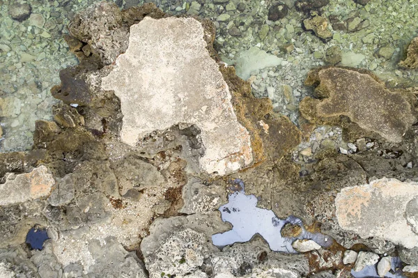 Flygfoto Över Sten Kusten Vid Sommardag Kroatien — Stockfoto