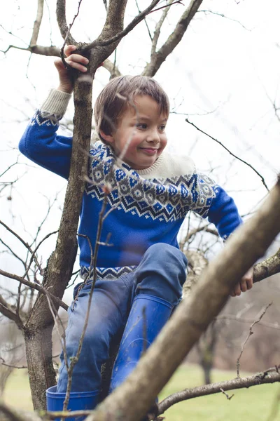 Kleiner Süßer Junge Klettert Auf Baum Garten — Stockfoto