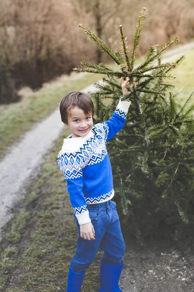 Little Blond Boy Pulling Old Christmas Tree Outdoor — Stock Photo, Image